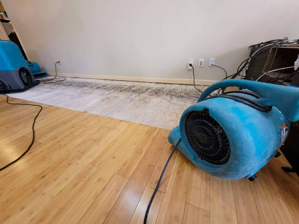 Professional Basement Flood Cleanup technician working in Goldsmith, TX