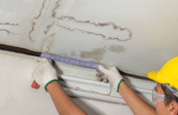 Affordable Basement Flood Cleanup solutions in Goldsmith, TX